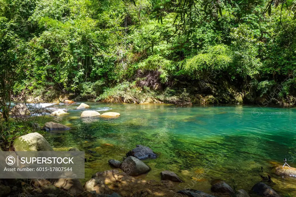 River in jungle rainforest, Khao Sok National Park, Thailand