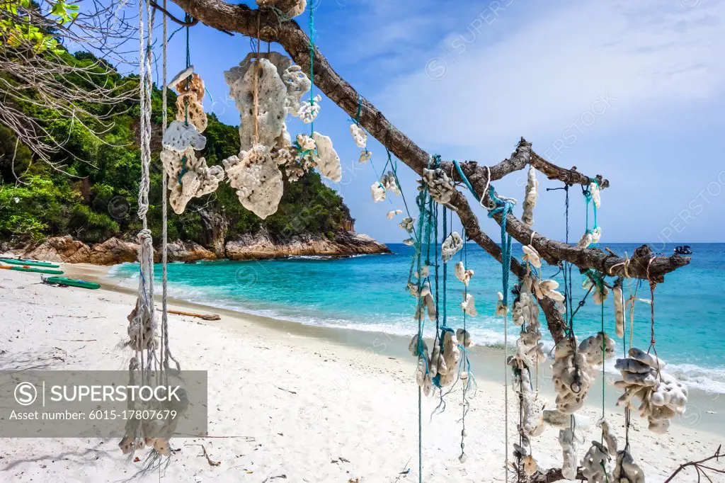 Hanging coral on romantic beach, Perhentian Islands, Terengganu, Malaysia