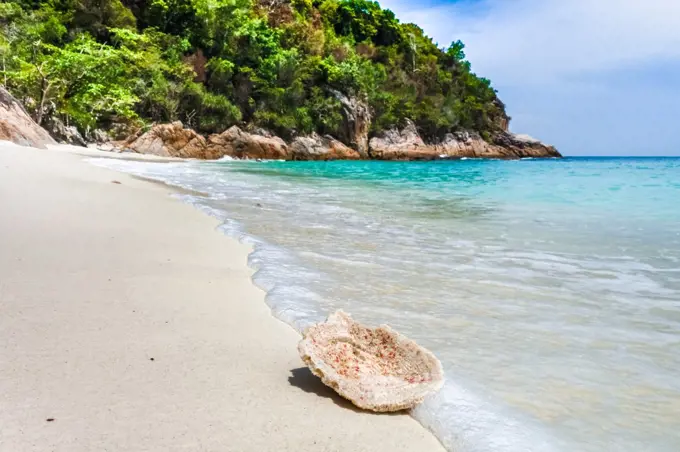 Coral on romantic beach, Perhentian Islands, Malaysia