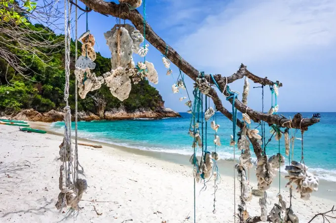 Hanging coral on romantic beach, Perhentian Islands, Terengganu, Malaysia