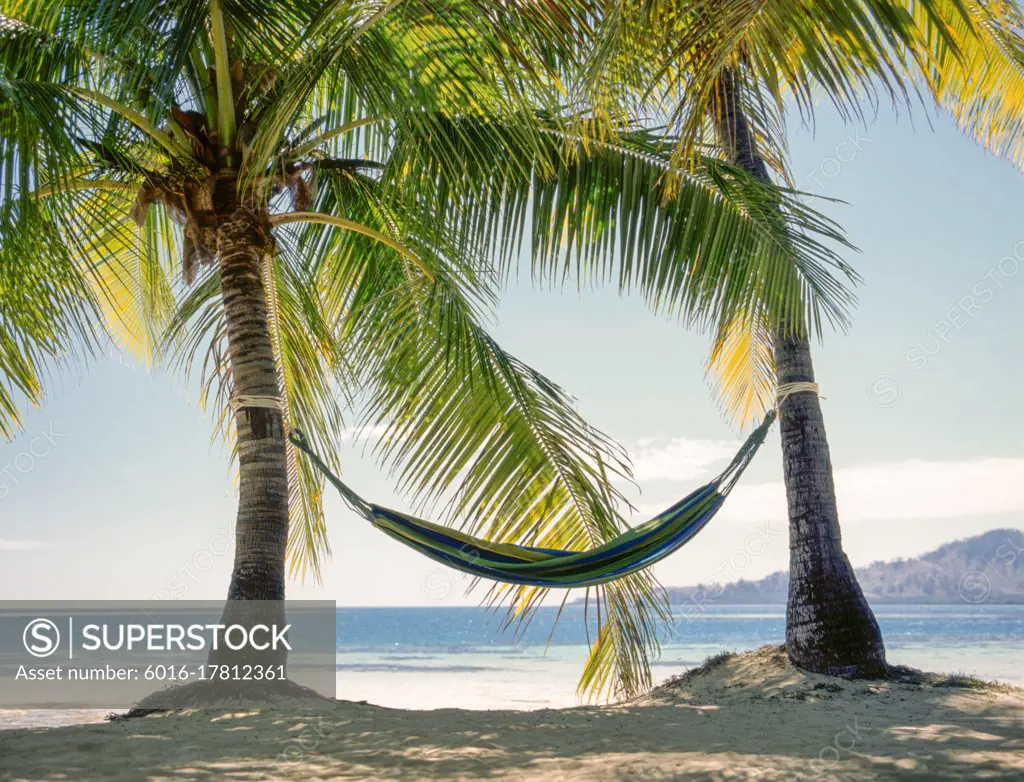 Hammock tied between two palm trees on tropical beach in Fiji