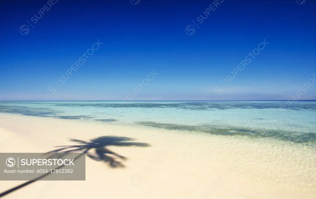 Shadow of palm tree on tropical beach