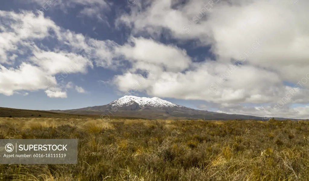 Desert grasslands in foreground of Mount Ruapehu on the Desert Road