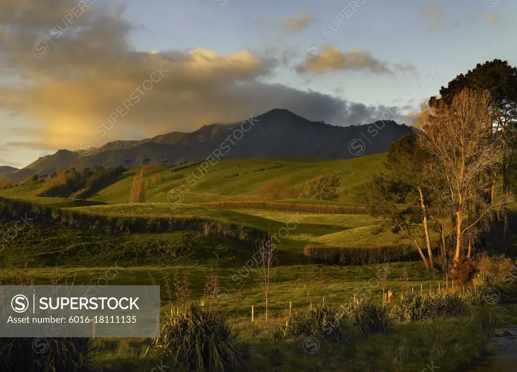 Rolling farmland in the early morning