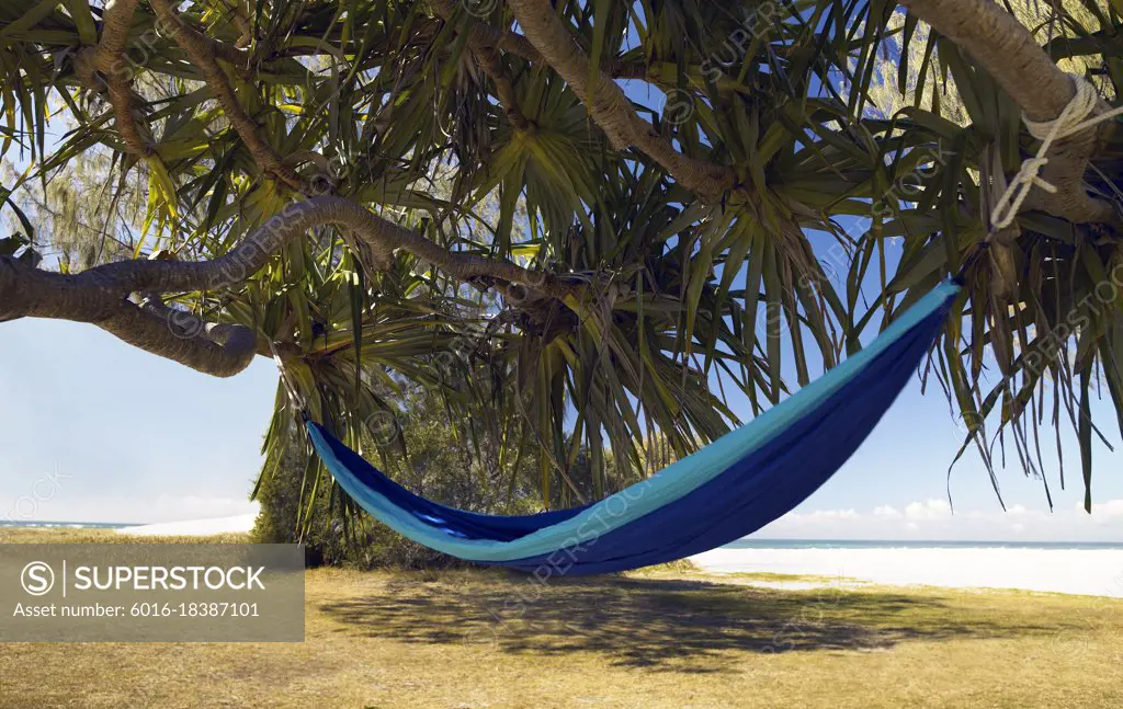 Hammock hanging under tropical tree at beach