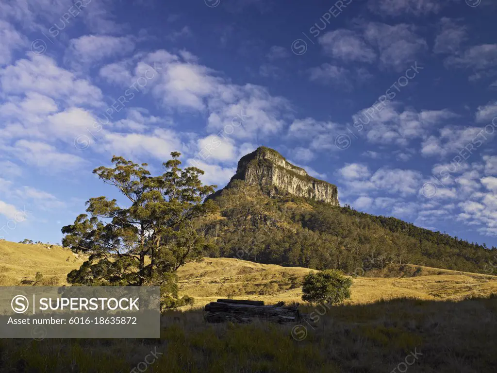 Mount Lindesay against blue sky with trees in foreground