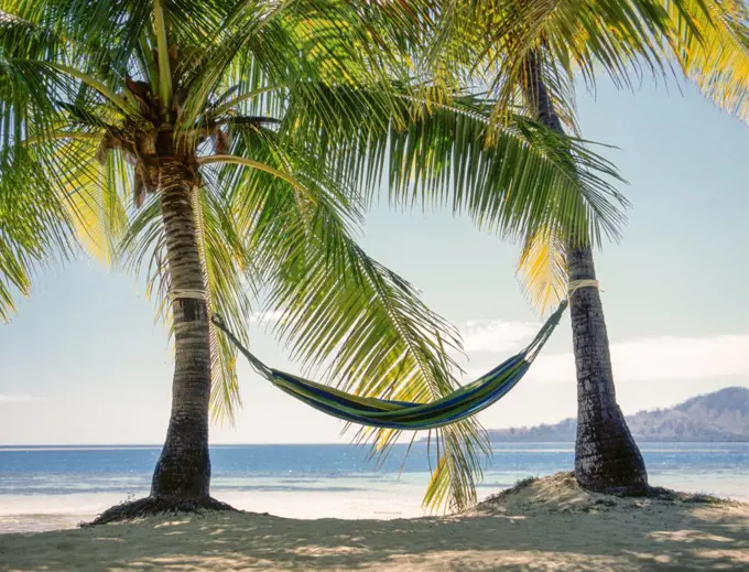 Hammock tied between two palm trees on tropical beach in Fiji