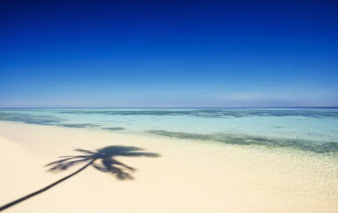 Shadow of palm tree on tropical beach