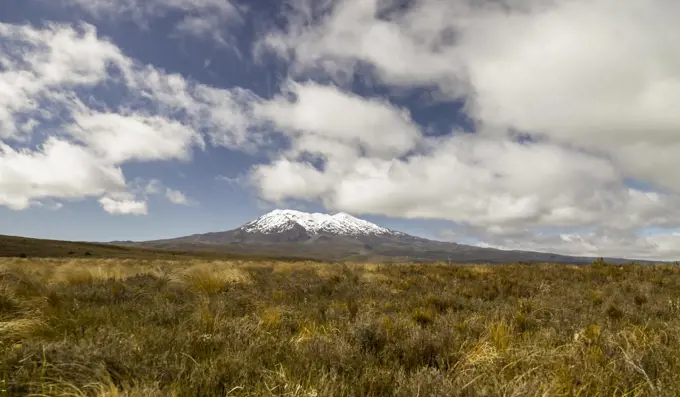 Desert grasslands in foreground of Mount Ruapehu on the Desert Road