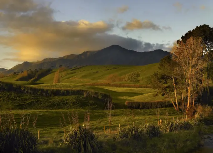 Rolling farmland in the early morning