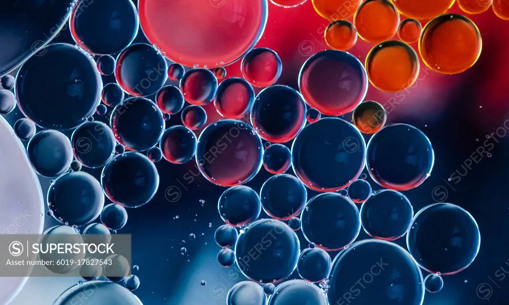 Abstract macro image of colorful oil drop circles in water.