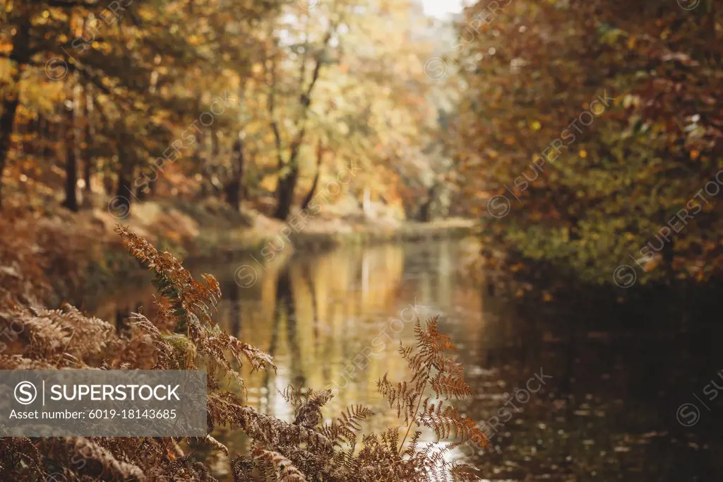 Landscape view of canal in fall