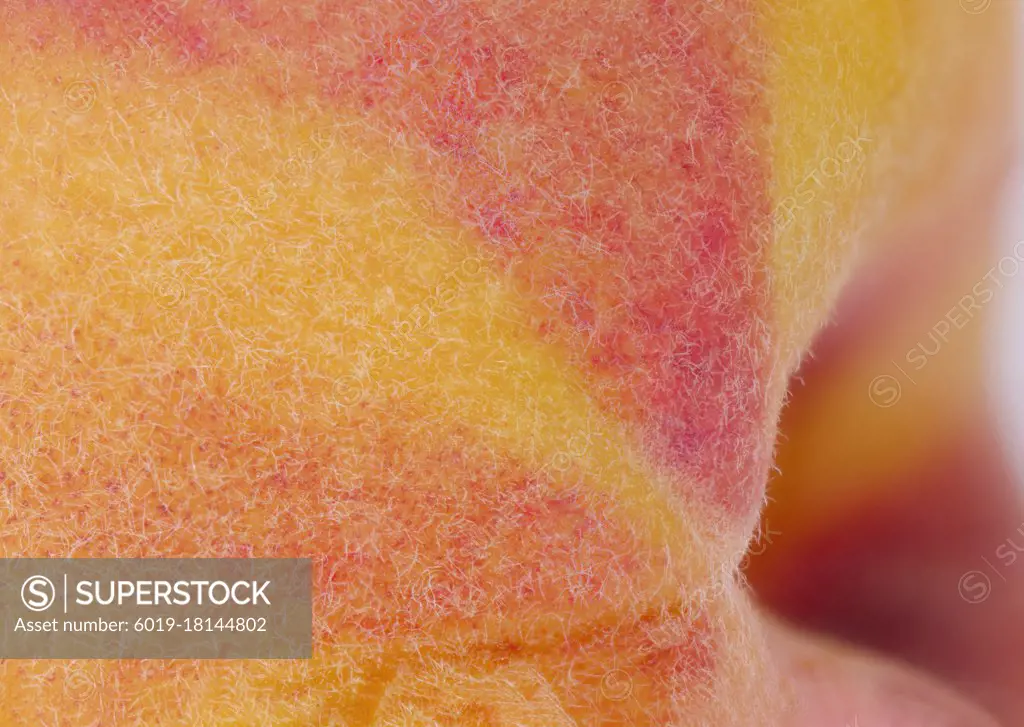 Macro photography of the skin of an organic peach