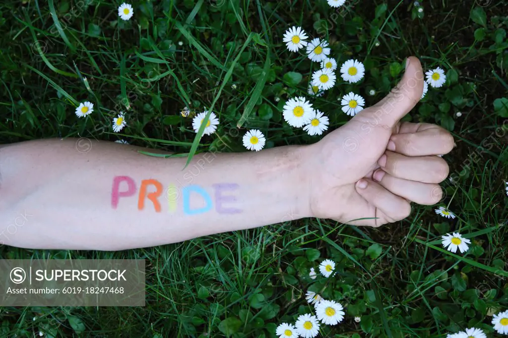 arm of a man painted with the word pride in the colors of the lgtbi flag stretched over a lawn full of daisies, making the ok symbol.