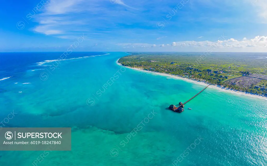 Aerial view of palms on the sandy beach of Indian Ocean at sunny