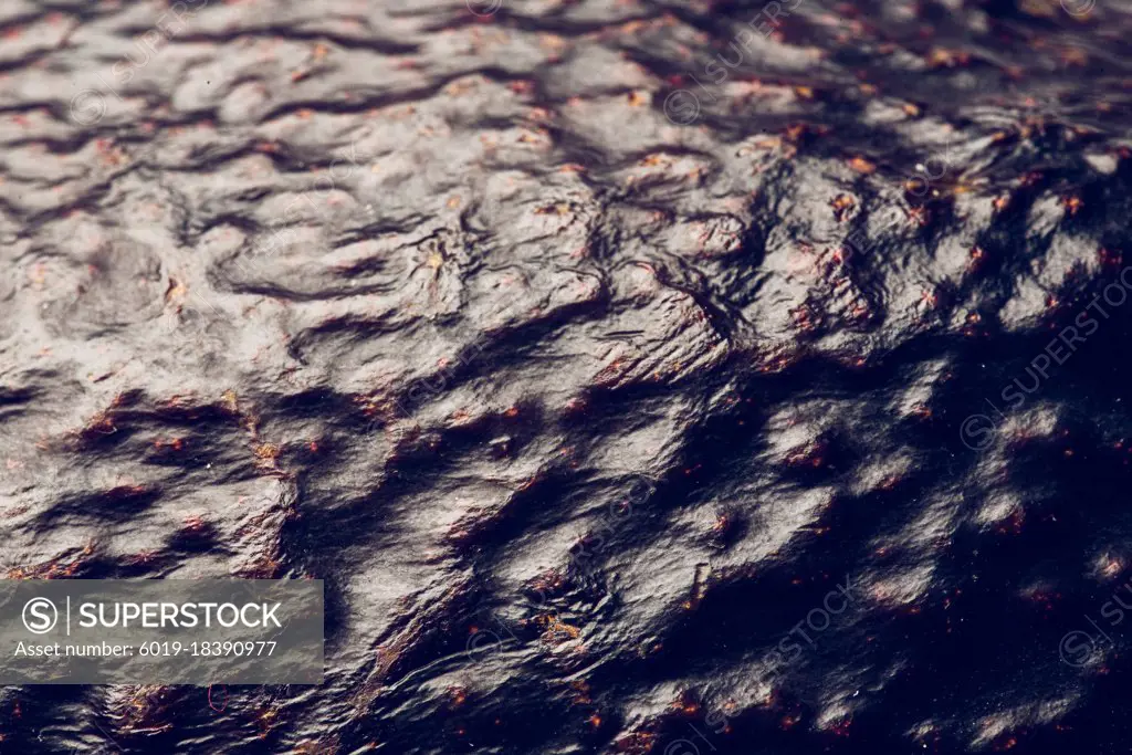 Detail photo of an avocado skin. Brown textured skin of an avocado fruit.