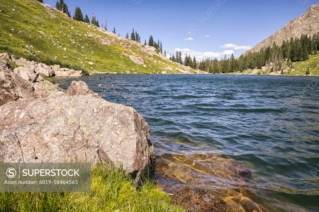 Willow lake in the Eagles Nest Wilderness, Colorado, USA