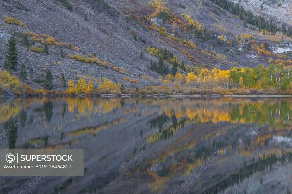 Fall, Parker Lake, Ansel Adams Wilderness, California