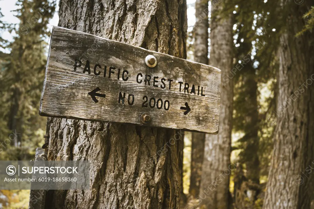 Pacific Crest Trail Sign In Washington State