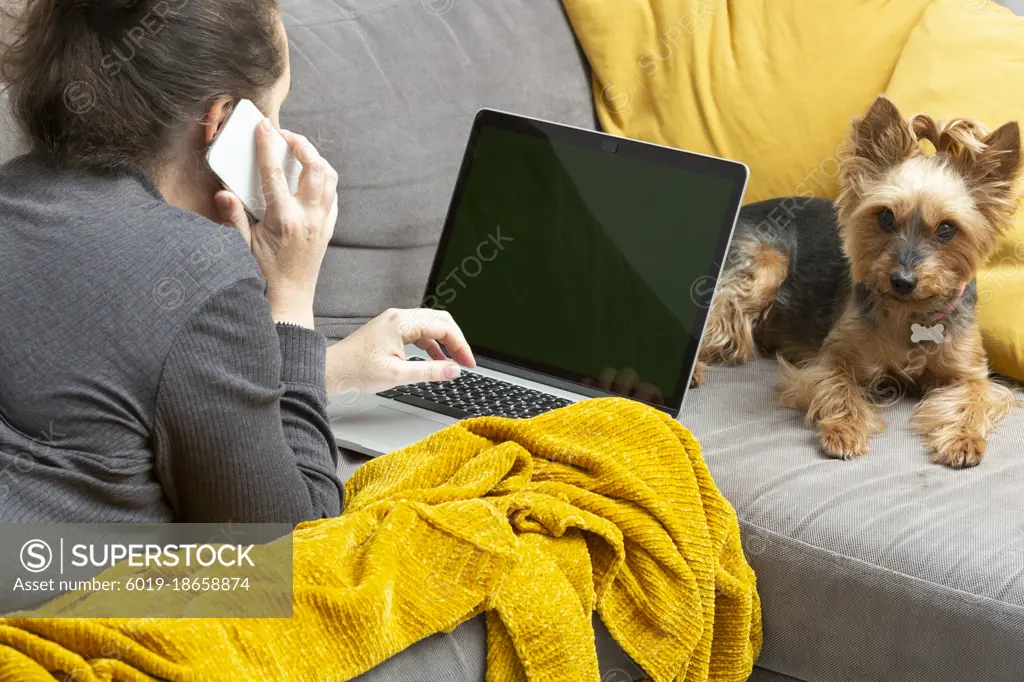 a woman is working at a computer talking on the phone, a dog is nearby