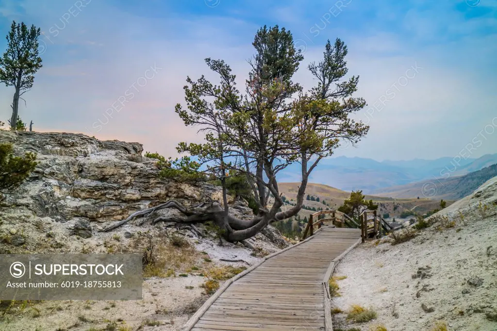 A view of nature in Yellowstone National Park, Wyoming