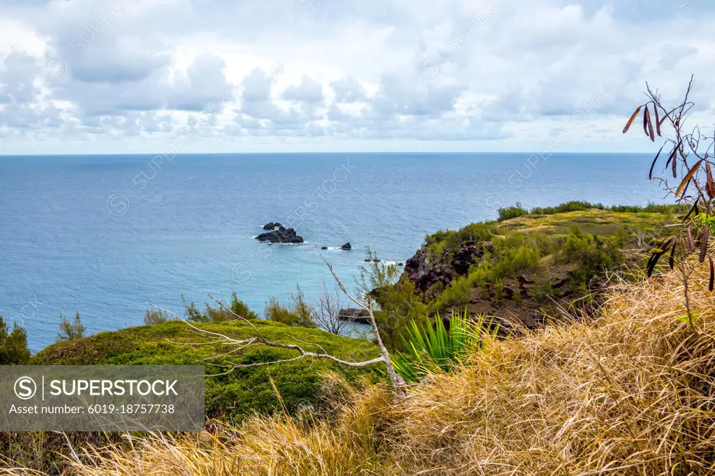 A gorgeous view of the natural landscape in Maui, Hawaii