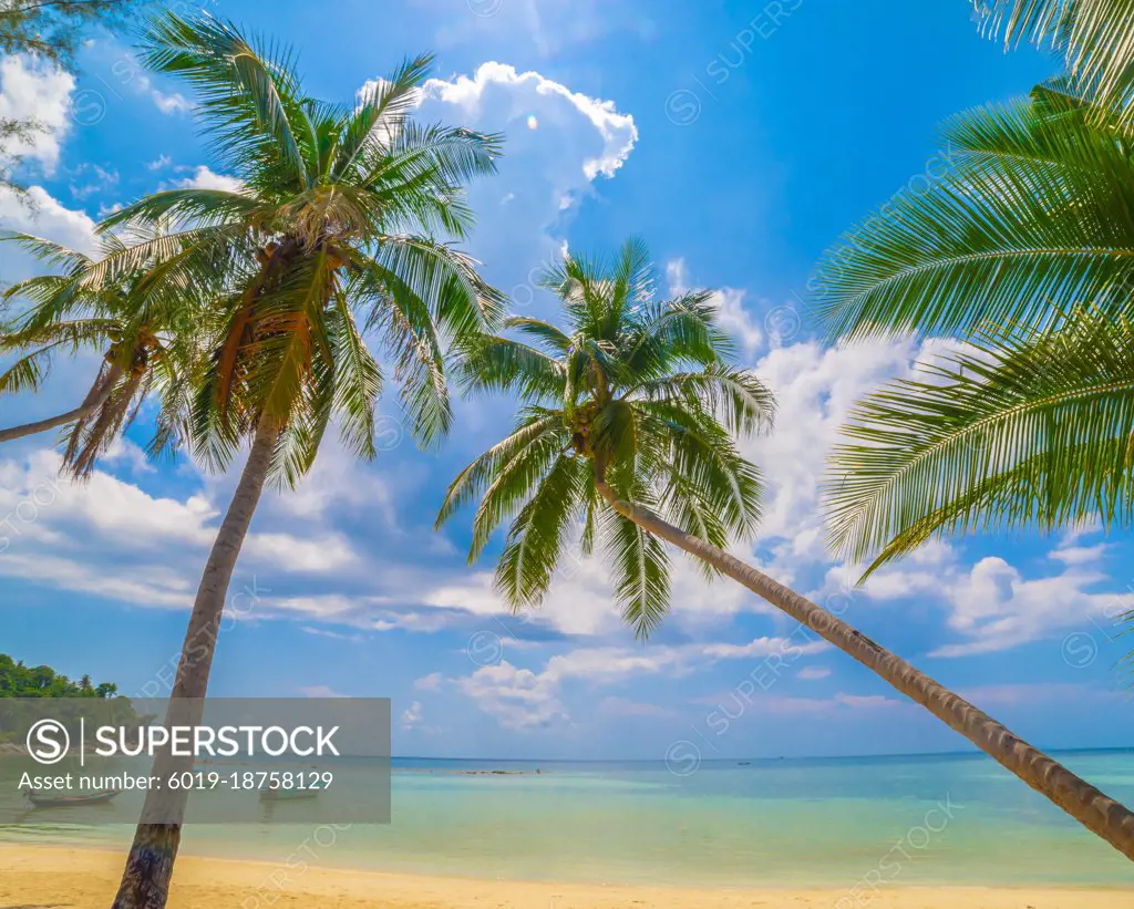 Beautiful tropical island beach, summer nature scene beach, blue