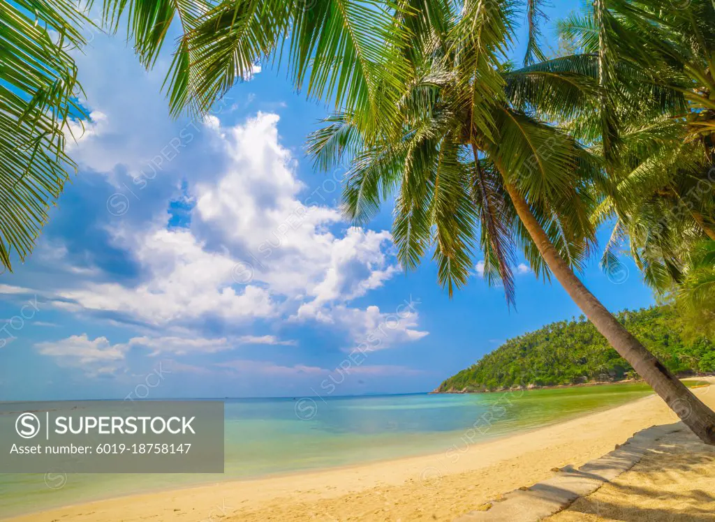 Paradise Sunny beach with palms and turquoise sea. Summer vacati