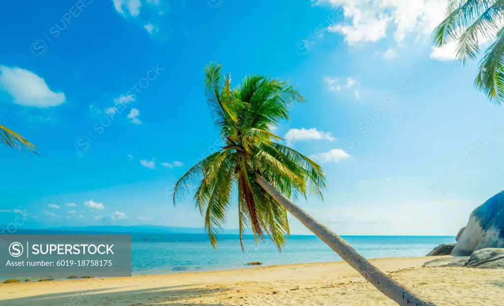 Paradise Sunny beach with palms and turquoise sea. Summer vacati