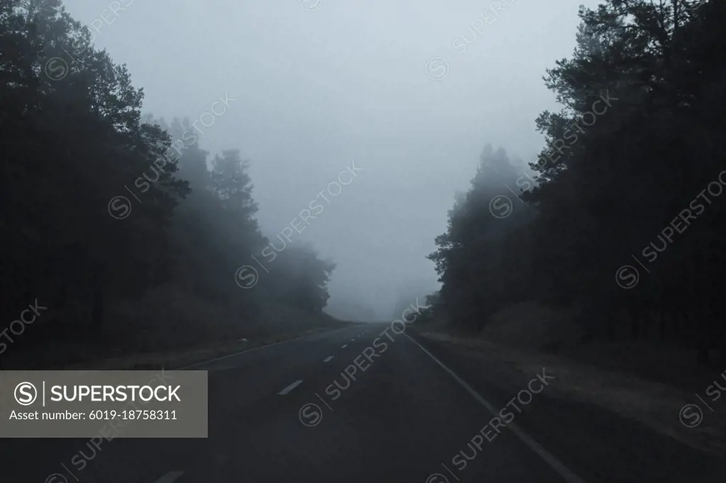 The road in the foggy forest