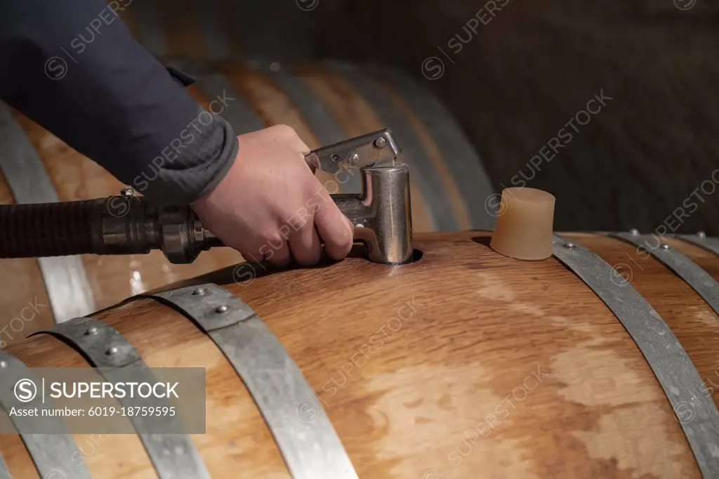 topping up wine barrels domaine pommard cote de beaune burgundy france