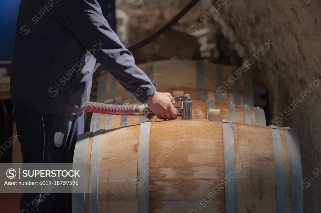 Wine Maker Topping Up French Wine in Wooden Barrel after Fermentation