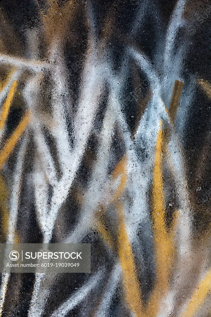 Ice-locked reed in the floodplains of river Turiec in Slovakia.