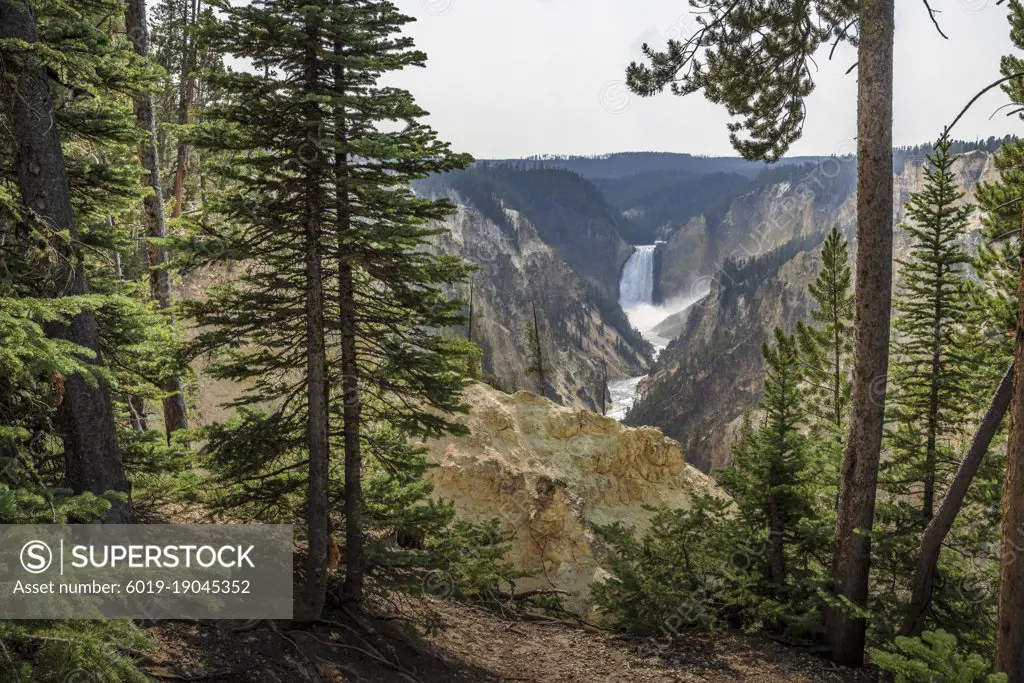 Upper Yellowstone Falls in the Grand Canyon of the Yellowstone.