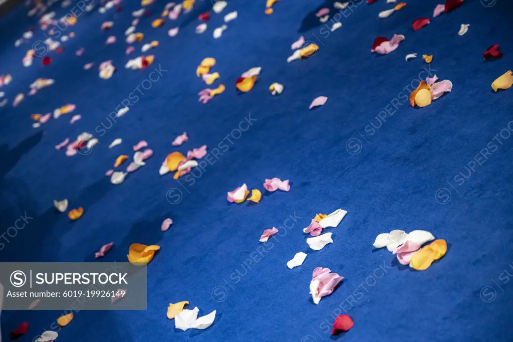 Colorful petals scattered on a blue carpet