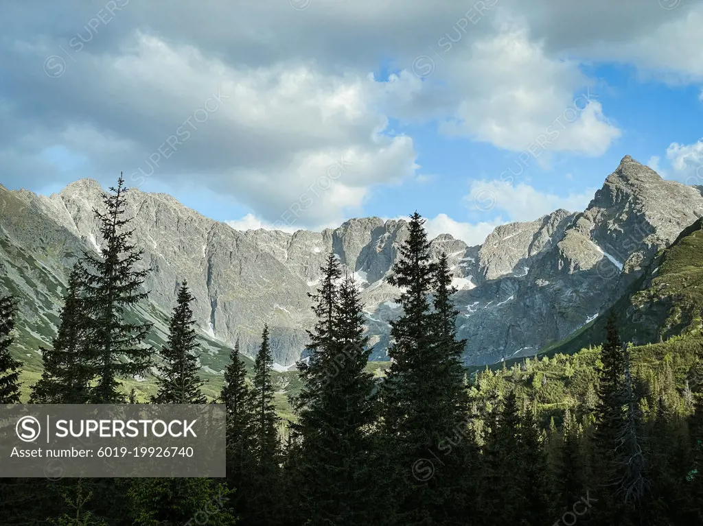 Mountain range landscape with peaks and green forest