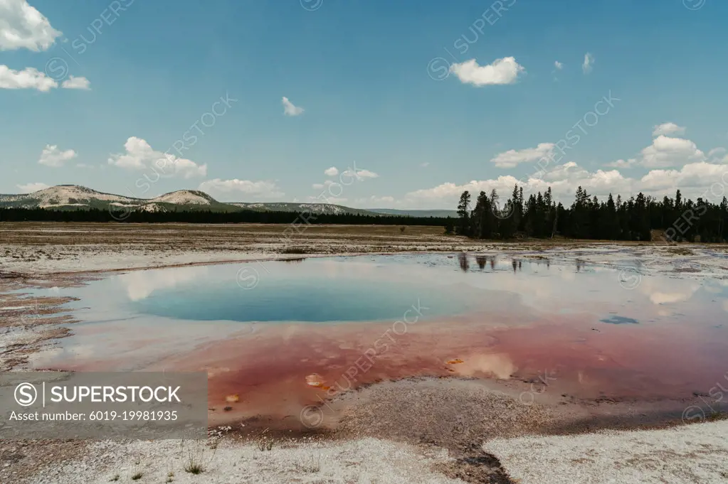 Opal Pool in Yellowstone National Park