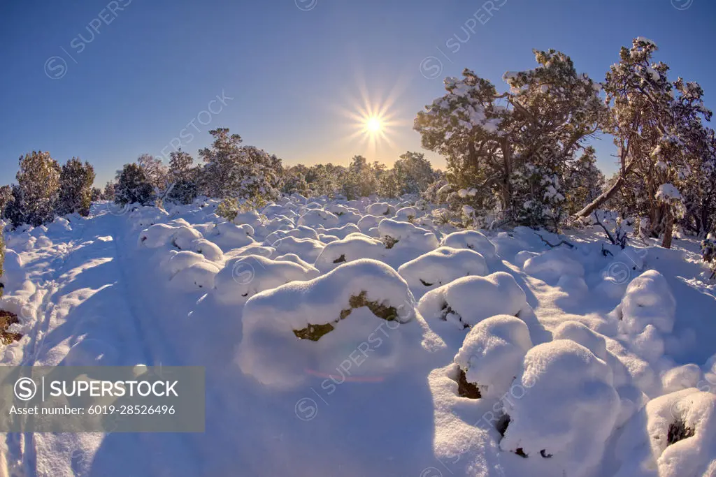 Grand Canyon in a Winter Wonderland