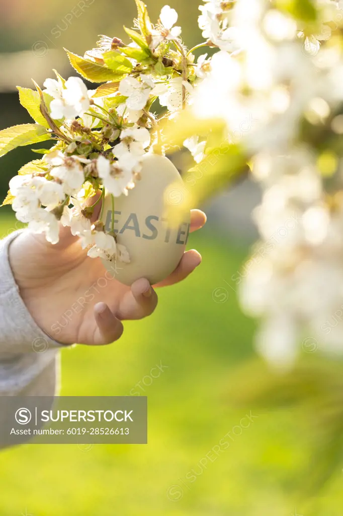 Easter tree decoration.  Beige easter egg in a childrens hand