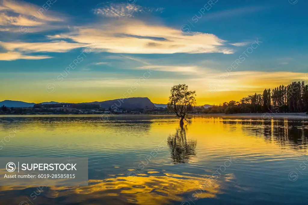 Reflections Lake Wanaka on sunset, wanaka tree New Zealand