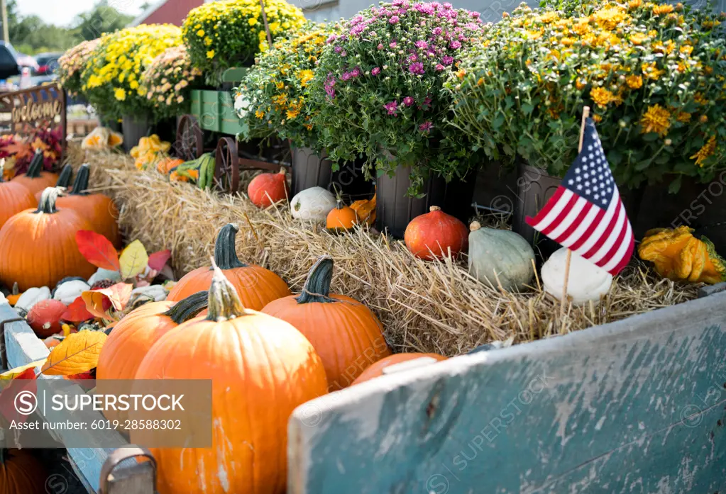 Fall wagon full of pumpkins and mums