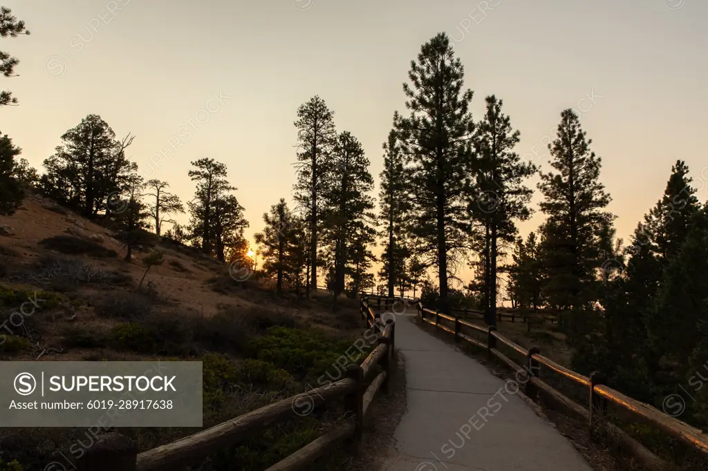 Pathway at Bryce Canyon National Park