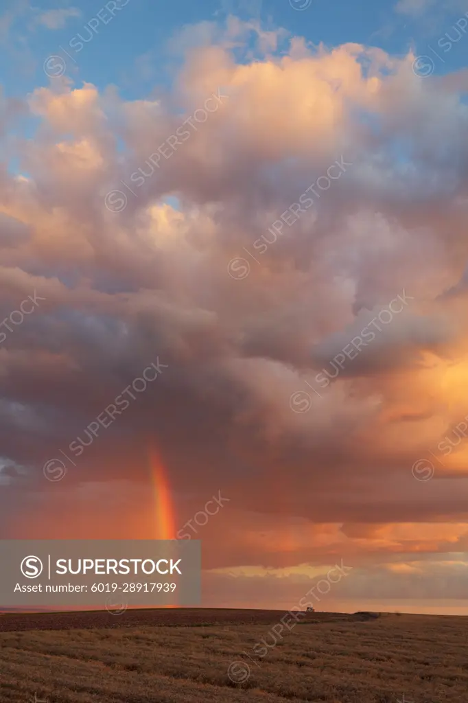 Rainbow in alentejo Portugal  agriculture