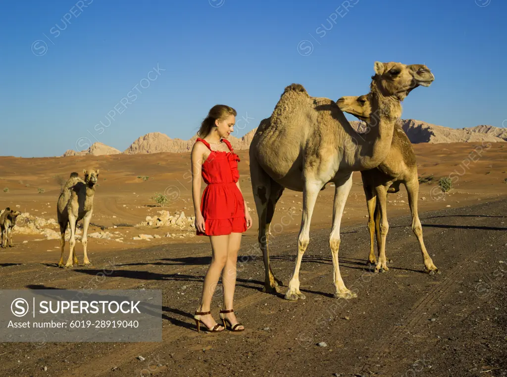 Young woman in red dress stand in Dubai desert with wild camels