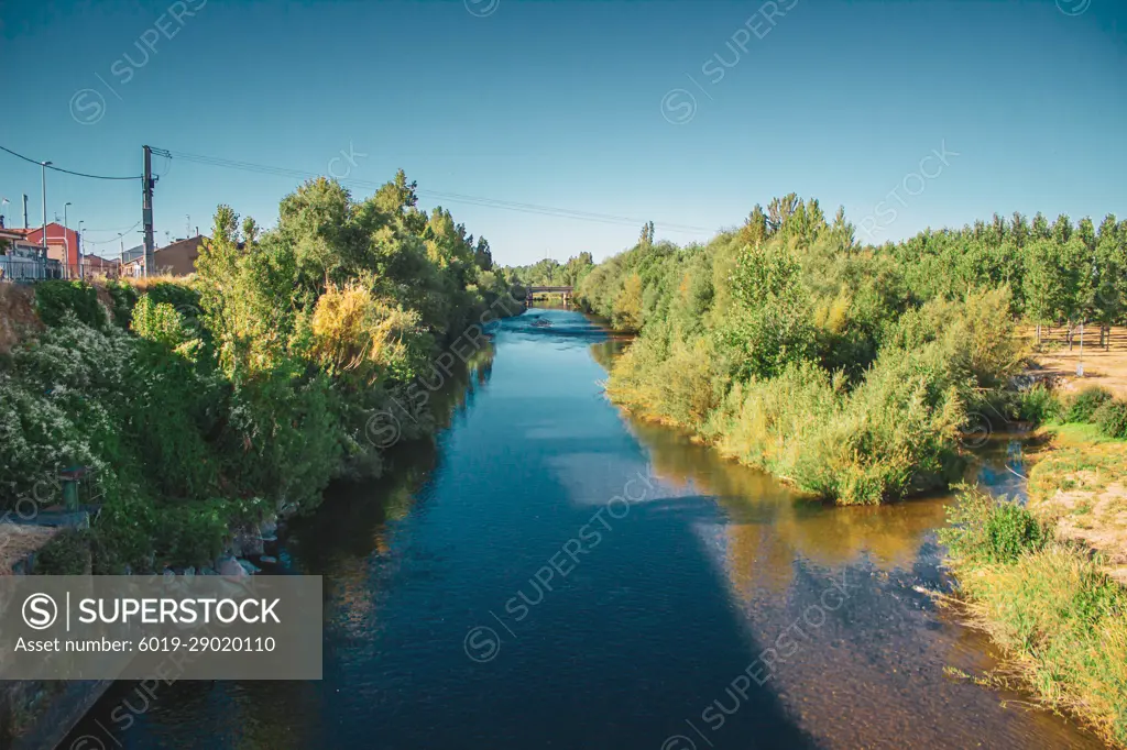 Beautiful River Stones