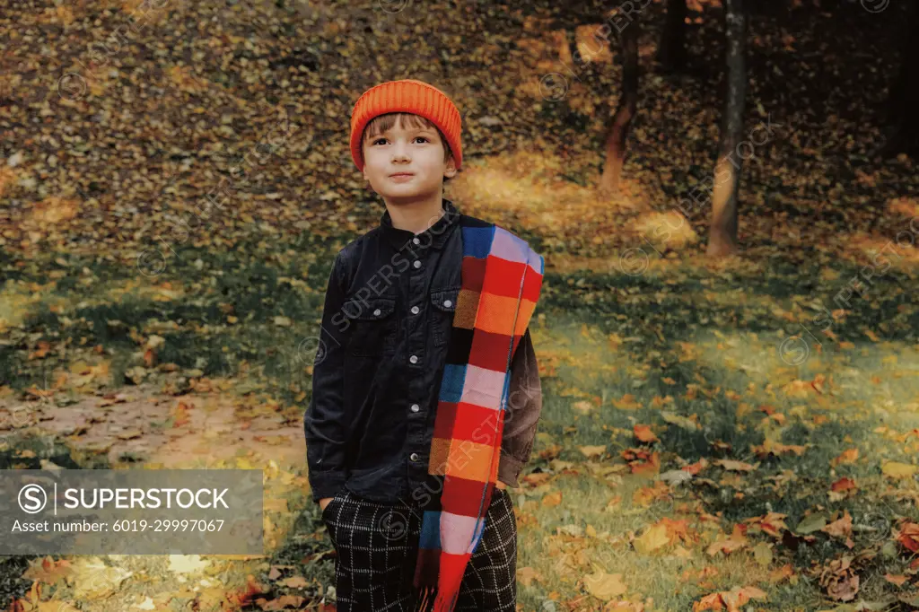 Autumn Boy Portrait In Fall Yellow Leaves in Park Outdoor