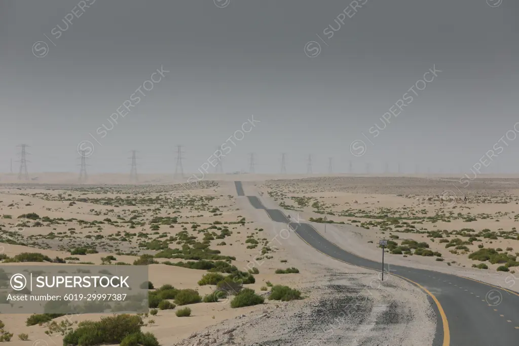 Exploring the desert of Dubai