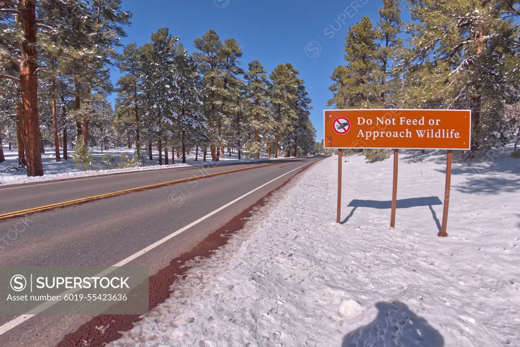 Warning sign at Grand Canyon to not feed wildlife