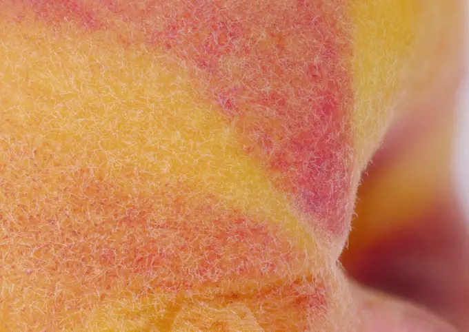 Macro photography of the skin of an organic peach