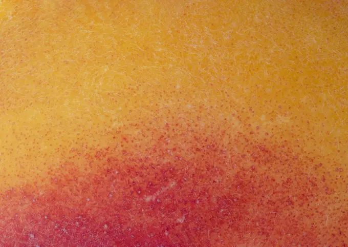 Macro photography of the skin of an organic peach
